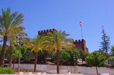 Panorámica frente al castillo