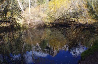 Balsa de agua en el río Lobos
