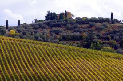 Paisaje de la Toscana próximo a San Gimignano