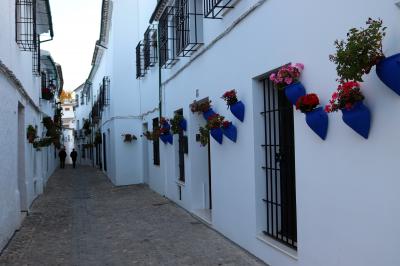 Calle florida