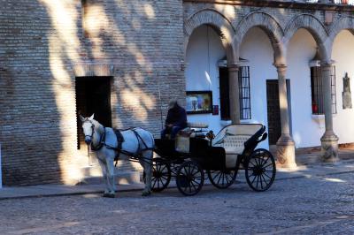 Coche de caballos descansando frente a la Iglesia de Santa María la Mayor