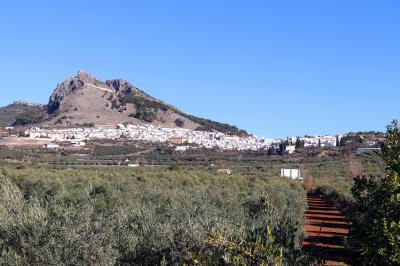 La villa de Archidona sobre los campos de olivos