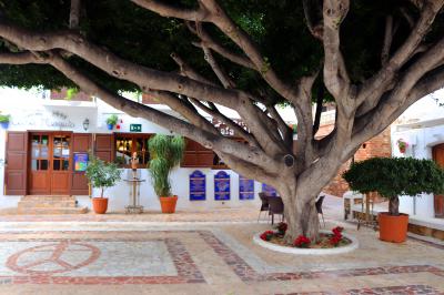 Plaza del ayuntamiento con un  ficus benjamina, árbol centenario traído de América
