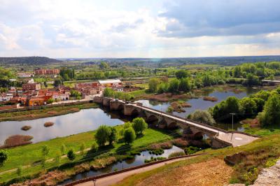 Puente medieval de Piedra sobre el río Águeda