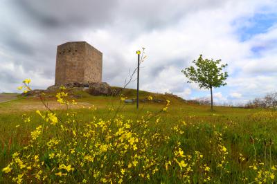 Torre del homenaje del castillo en primavera
