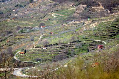Terrazas en el Valle del Jerte