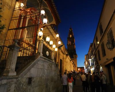 Vista nocturna de la Catedral de Córdoba