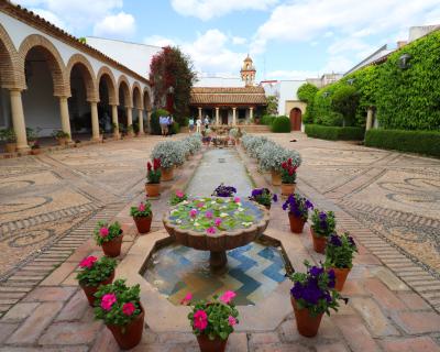 Jardin en el Palacio de Viana