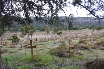 Panorámica del cementerio desde una sombra de árbol