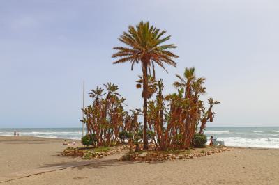Playa de Estepona