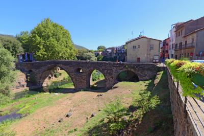 Puente medieval de Sant Joan les Fonts
