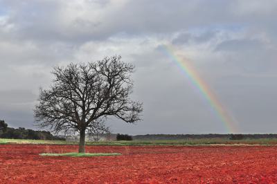 El arco iris sobre los campos de cultivo