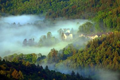 Castillo de Hohenbaden