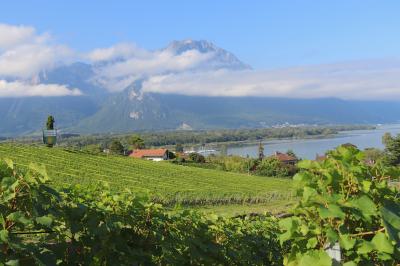 Viñedos en el lago Léman