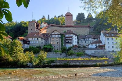 Ribera del rio Seone 