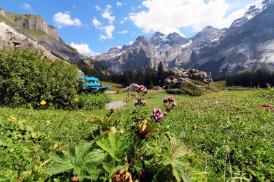 Camino al Lago glaciar Oeschinensee