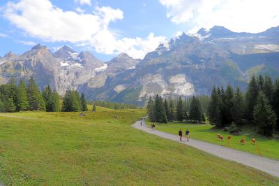 Camino al Lago glaciar Oeschinensee