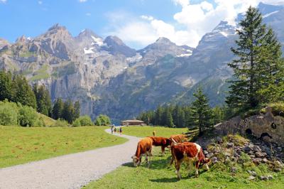 Camino al Lago glaciar Oeschinensee