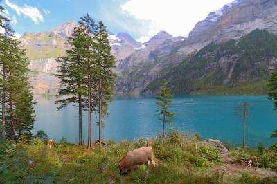 Lago glaciar Oeschinensee