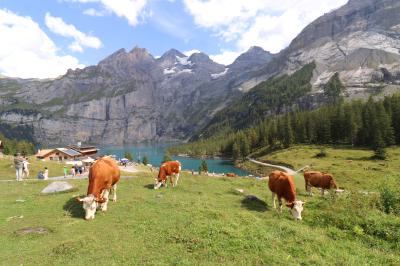 Lago glaciar Oeschinensee