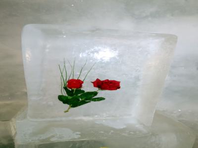 Rosa congelada en el interior de un cubo de hielo