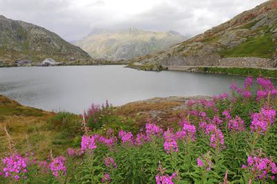 Lago Grimsel