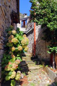 Callejeando por Corippo