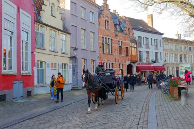 Carruaje de caballos para visitas turísticas