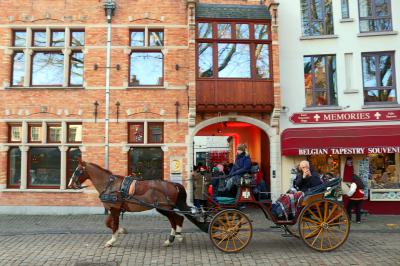 Carruaje de caballos para visitas turísticas