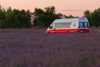 Campos de lavanda en Tiedra