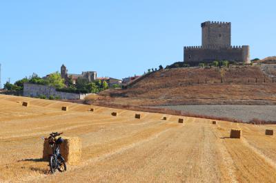 Campo de cereal en Tiedra