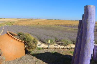 Centro de interpretación de lavanda