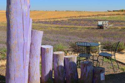 Centro de interpretación de lavanda