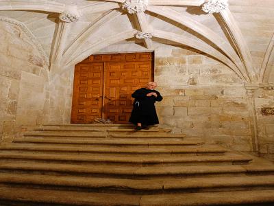 El Druida del Monasterio de Santo Estevo de Ribas de Sil 