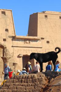 Templo de Horus-Edfú