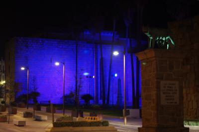 Exterior de la Alcazaba nocturno