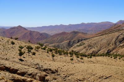 Alto del Atlas