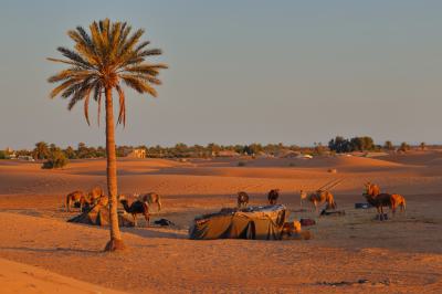Amanecer en el desierto de Erg Chebbi 