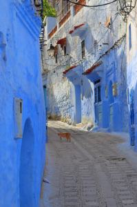Chefchaouen, la joya azul marroquí