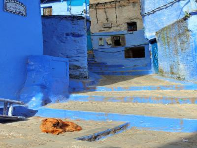 Chefchaouen, la joya azul marroquí