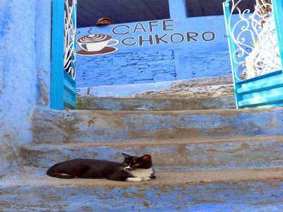 Chefchaouen, la joya azul marroquí
