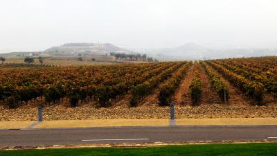 Viñedos de la Rioja
