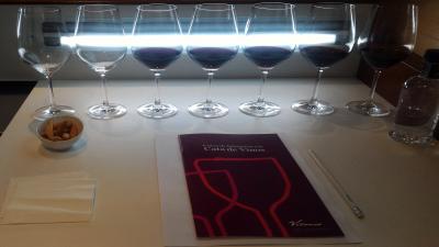 Experiencia de Cata de vinos en Vivanco