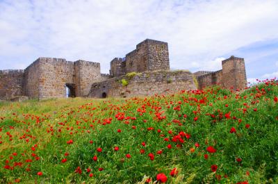 Vista del castillo en primavera rodeado de amapolas