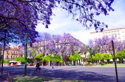 El color de la primavera en Sevilla