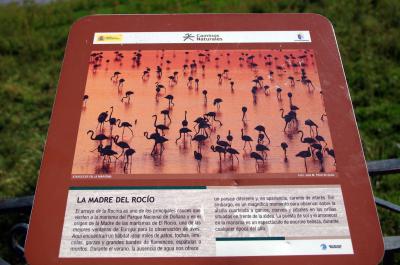 El Rocio está en pleno Parque Nacional de Doñana