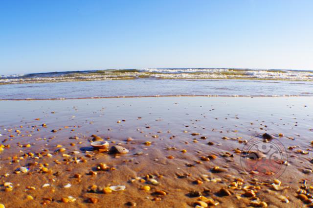 Playa Cuesta Maneli en pleno Doñana