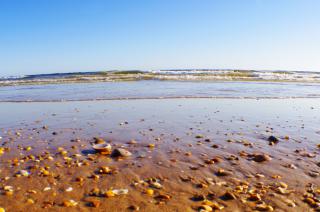 Playa Cuesta Maneli en pleno Doñana