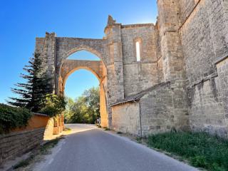 ruinas del Convento de San Antón