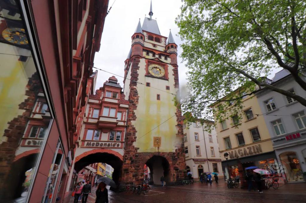 Friburgo es la capital de la Selva Negra